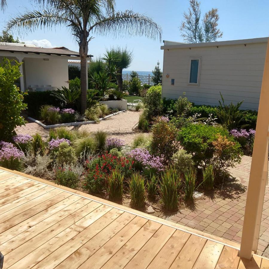Le Palme Village تيراتشينا المظهر الخارجي الصورة